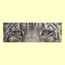 Snow Leopard Eyes posters