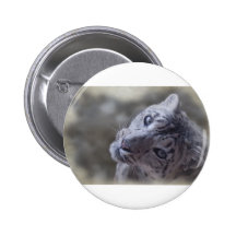snow leopard face. pins