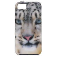 Snow Leopard iPhone 5 Cover