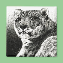 Snow Leopard Magnet magnets
