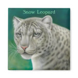 Snow Leopard Magnet