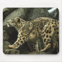 snow-leopard mousepads by puzzlerpixies snow-leopard mousepads