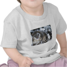 Snow Leopard on the Prowl Shirt