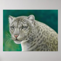 Snow Leopard Portrait Print