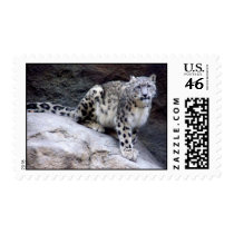 Snow Leopard postage