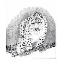 Snow Leopard  T-Shirt