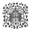 Snow Leopard t-shirts