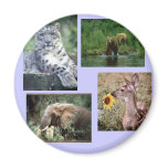 snow leopard, two bears, elephant, deer magnets