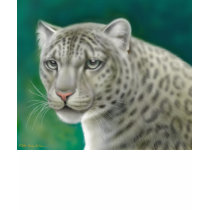 Snow Leopard V-Neck T-Shirt by twopurringcats Snow Leopard V-Neck T-Shirt