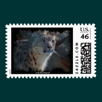 Snow Leopard Wild Cat Animal Lover Postage stamps
