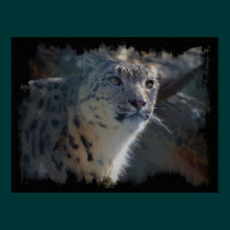 Snow Leopard Wild Cat Animal Lover Poster posters