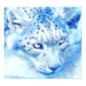 *Snow Leopard* Wild Spirit Poster Print by MidnightDreamer *Snow Leopard* Wild Spirit Poster Print