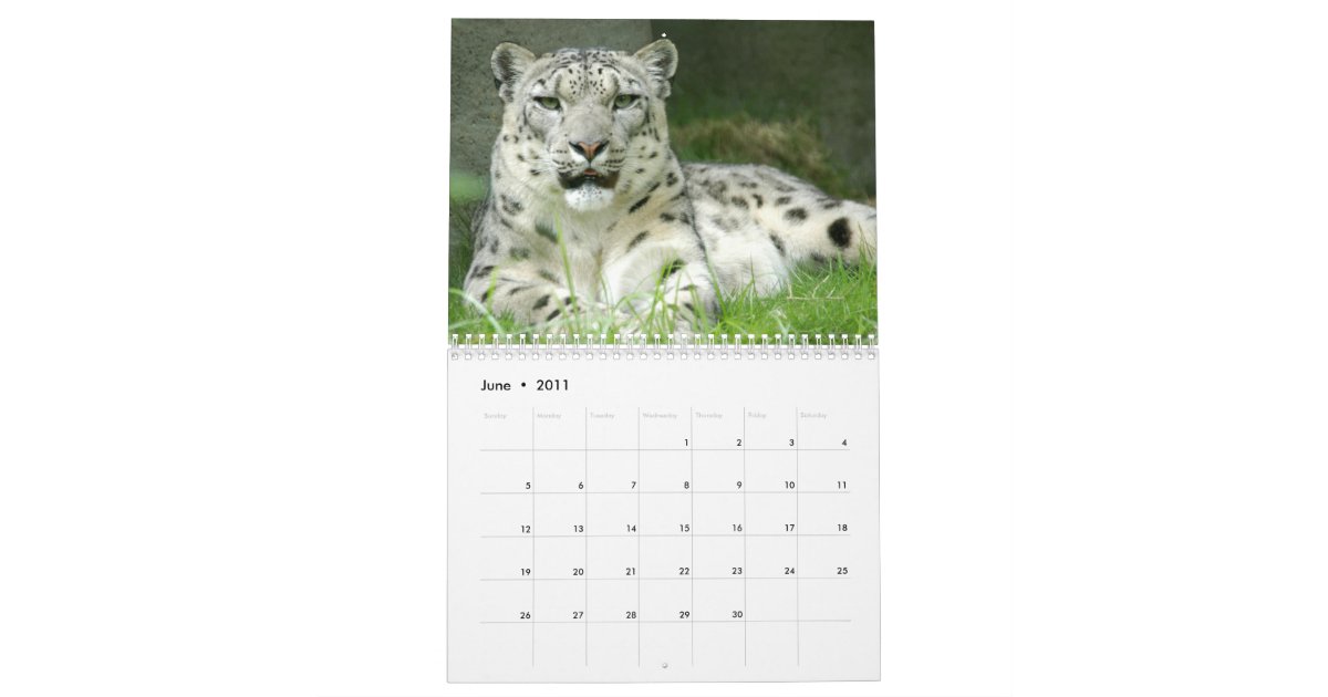 Snow Leopards Calendar, Snow Leopards Calendar Zazzle