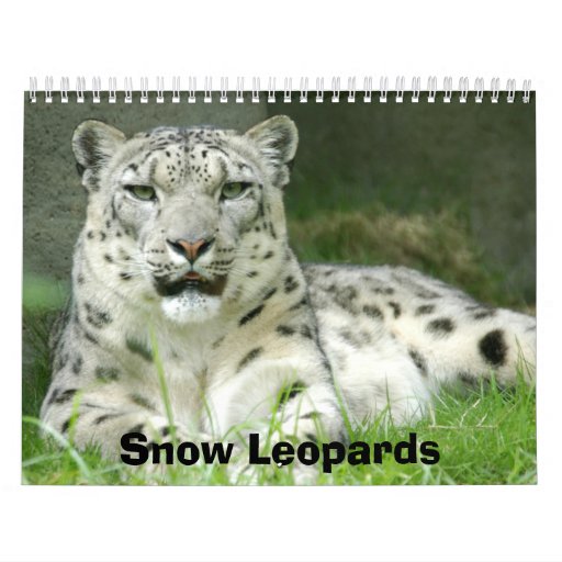 Snow Leopards Calendar, Snow Leopards Calendar Zazzle Snow Leopards Calendar, Snow Leopards Calendar Zazzle