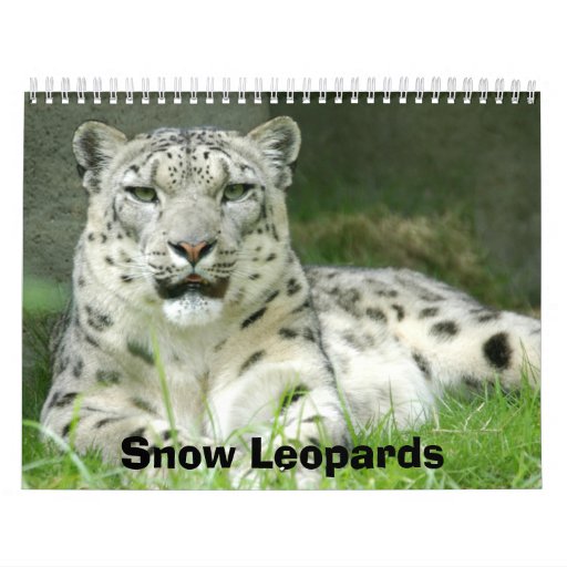 Snow Leopards Calendar, Snow Leopards Calendar Zazzle