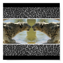 SNOW LEOPARDS FACE OFF FRAMED PRINT