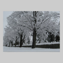 Snow maples posters