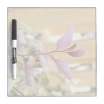 snow moutain plant pink purple against wood.jpg dry erase boards