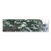 Snow On A Holly Tree Bumper Sticker