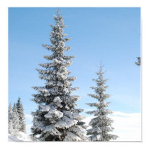 Snow on Christmas Trees Poster