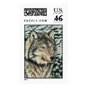 "Snow on da Nose" postage by paintonmypaws "Snow on da Nose" postage