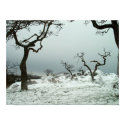 Snow on Garry Oak Meadow posters by kchwxdr Snow on Garry Oak Meadow posters