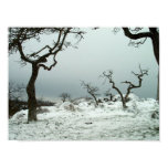 Snow on Garry Oak Meadow