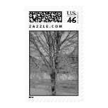 Snow on Tree postage