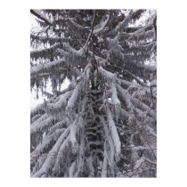Snow on trees posters by JerryColonna Snow on trees posters