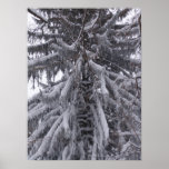 Snow on trees posters