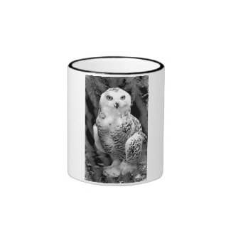 Snow Owl Baby Mug