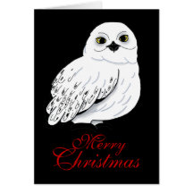 Snow owl Christmas Card