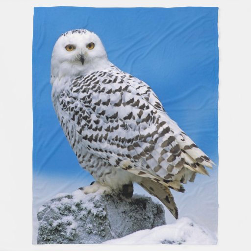 SNOW OWL FLEECE BLANKET Zazzle