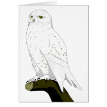 Snow Owl Greeting Card