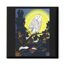 snow owl magnets