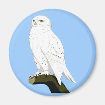 Snow Owl Refrigerator Magnet