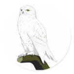 Snow Owl Sticker