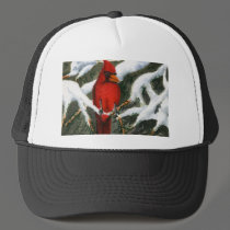 Snow Painting Hat