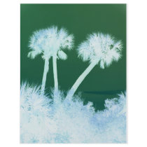 Snow Palms flyers