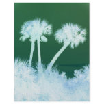 Snow Palms Customized Letterhead