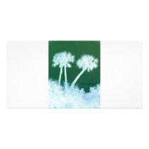 Snow Palms photo cards