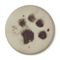 Snow Paw magnet magnets