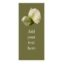 Snow Pea flower ~ rack card