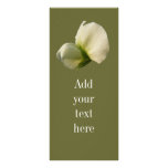 Snow Pea flower ~ rack card rack cards