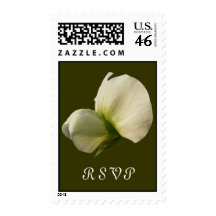 Snow Pea flower RSVP ~ stamp