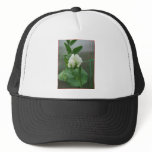 Snow Peas Hat