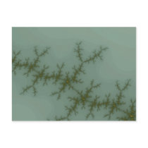 Snow Pine - Fractal Art Postcards