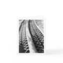Snow Plow Tracks cards