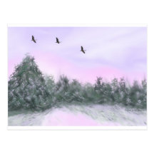 Snow Post Card