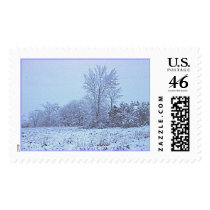 snow postage